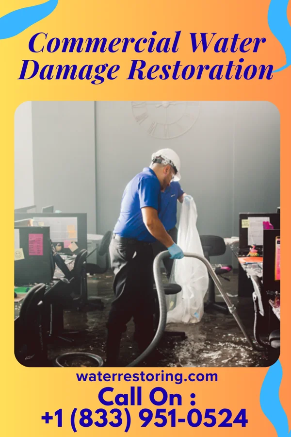 Commercial Water Damage Restoration in Lowndesboro, AL