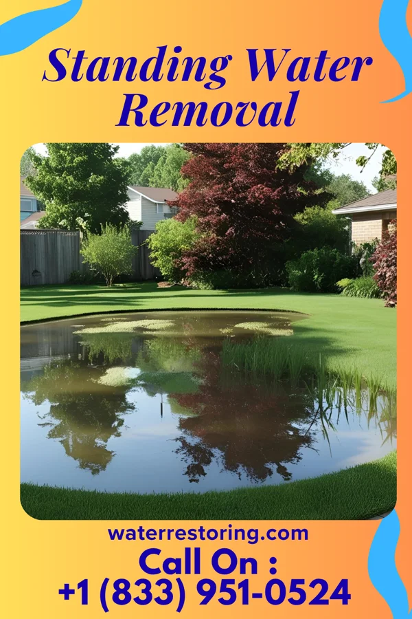 Standing Water Removal in Lowndesboro, AL
